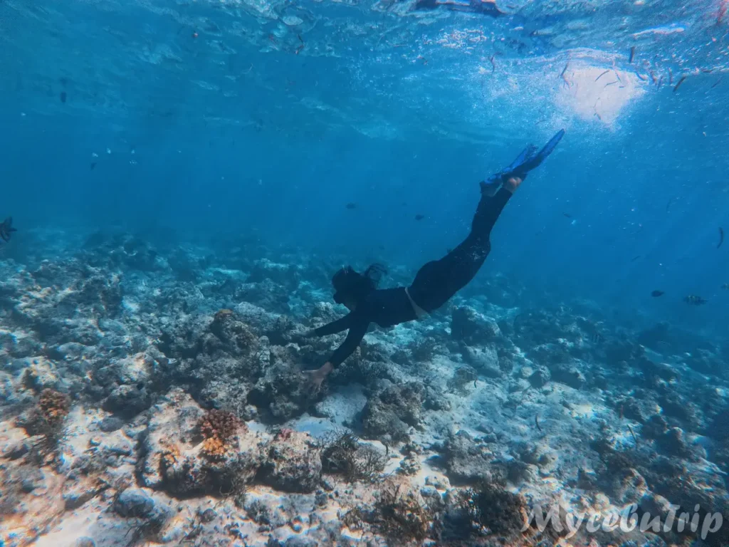 オランゴ島の澄んだ海とサンゴ礁へ潜るスキンダイビング・スノーケリング体験