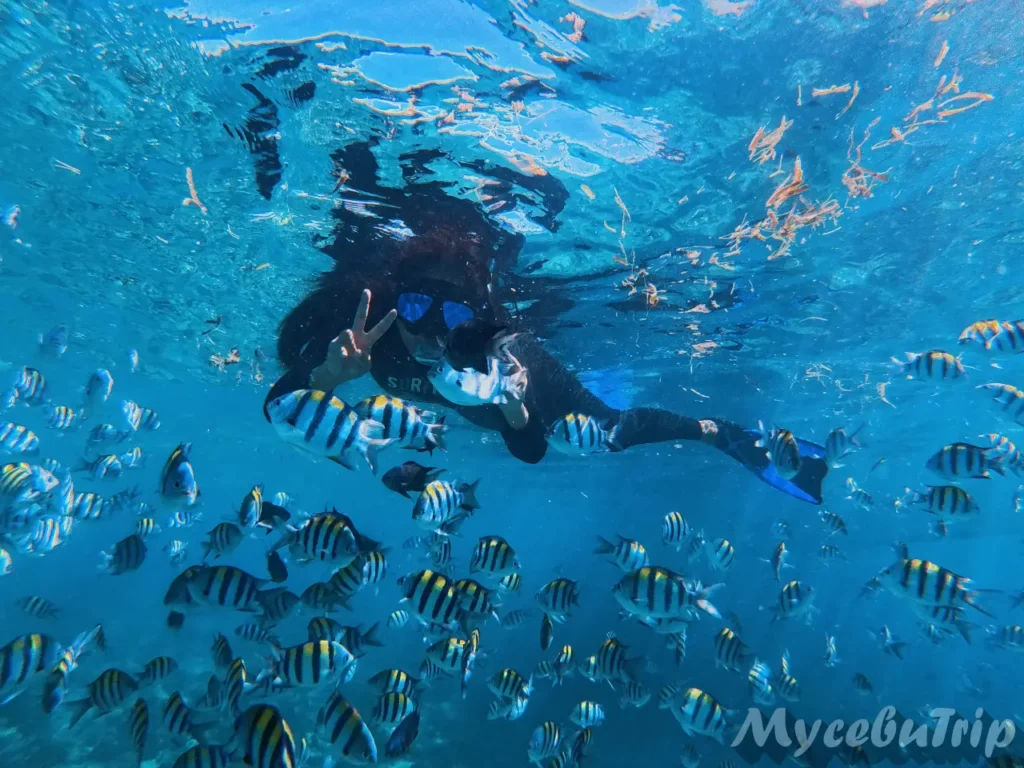 セブ島ホッピングツアー、サンビセンテ海洋保護区の魚の群れの中で記念撮影